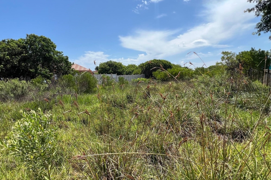 0 Bedroom Property for Sale in Paradise Beach Eastern Cape